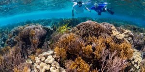 Nusa Penida Snorkeling 3