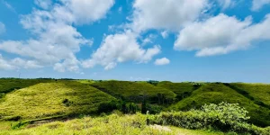 Teletubbies Hill